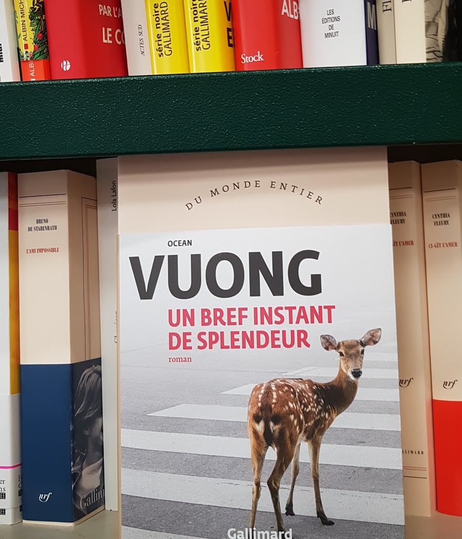 Librairie Blanqui 13 1